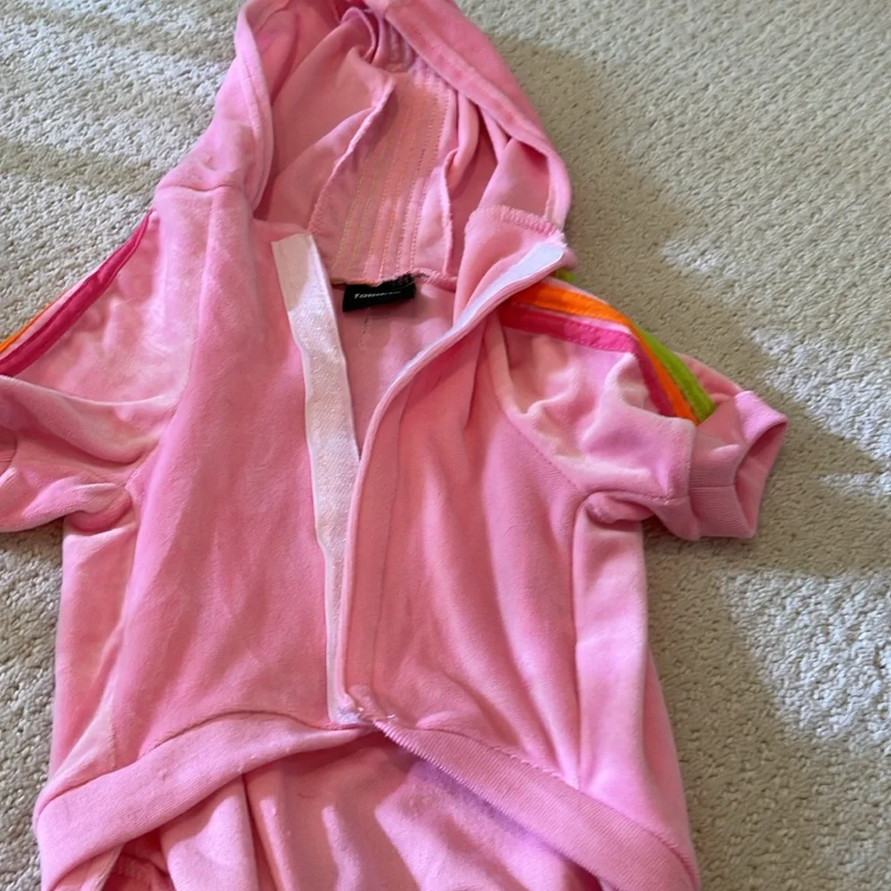 Female Dog outfit